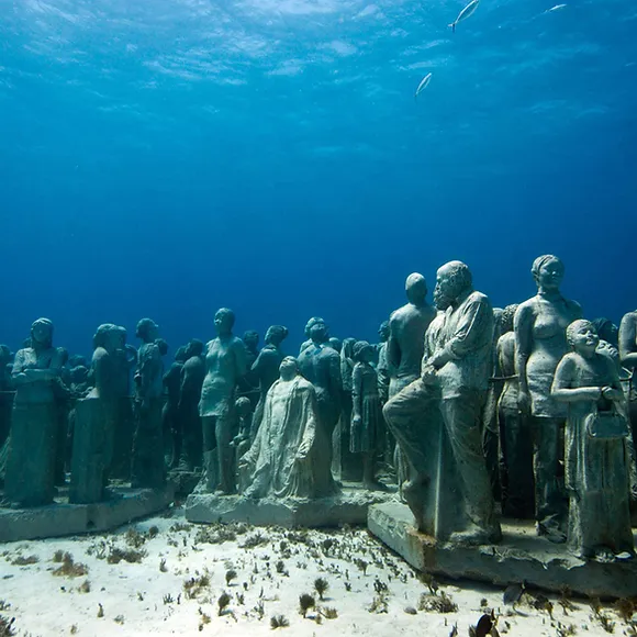 Advance Open Water + Nit + Cozumel Or Cenote